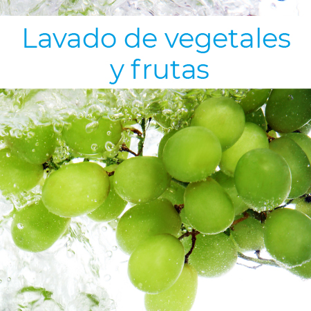 Lavado de Vegetales y Frutas